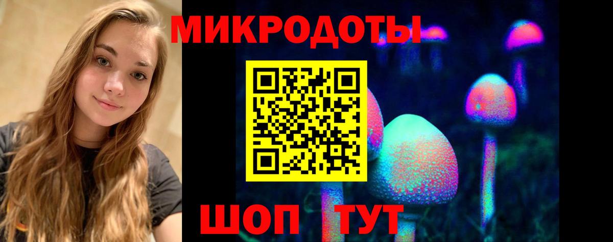 Новодвинск  Псилоцибиновые грибы Psilocybine cubensis  Вход с VPN 